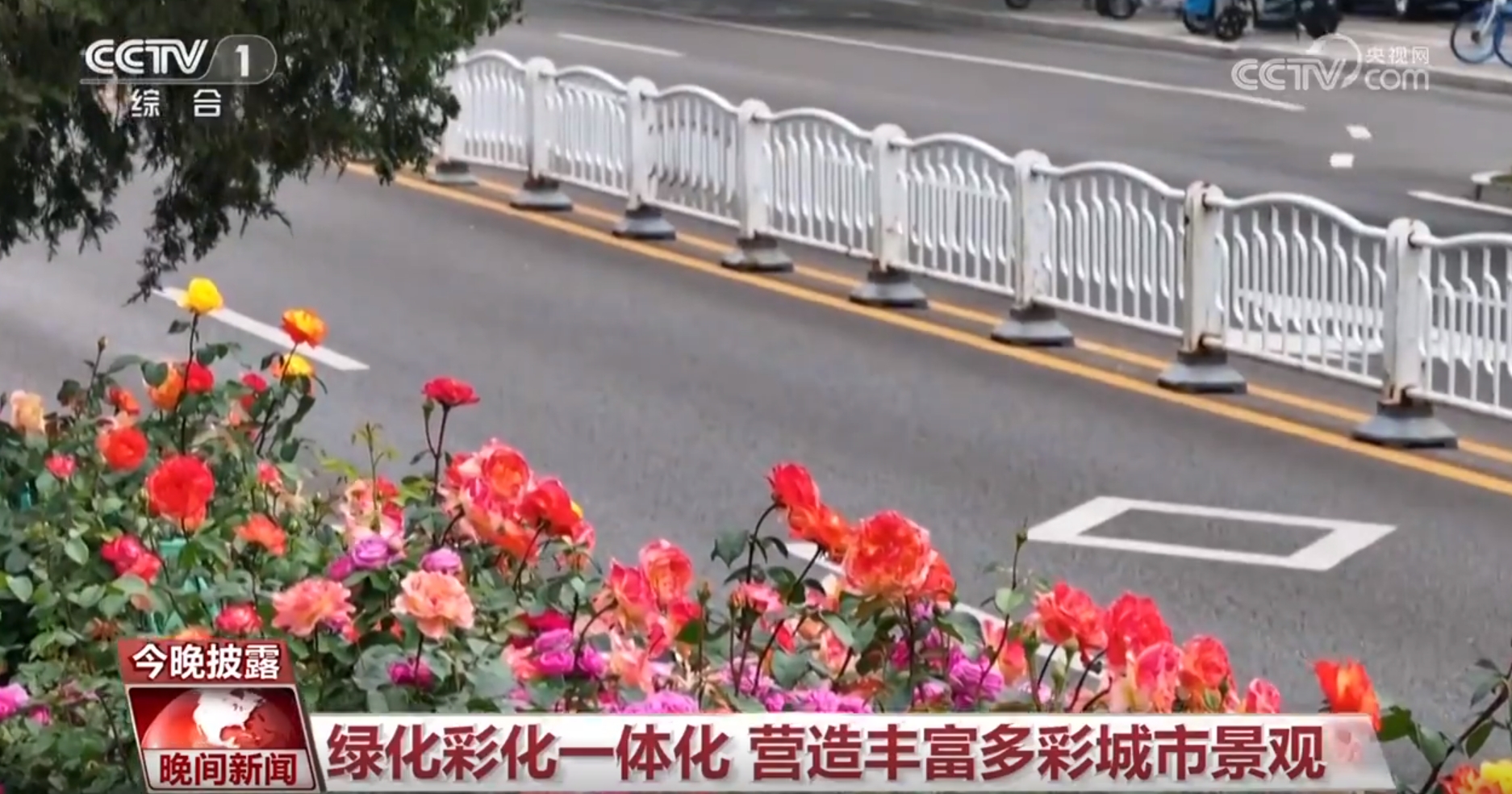 京绿化带何以火热“出圈”？九游会J9入口一路生花 北(图3)