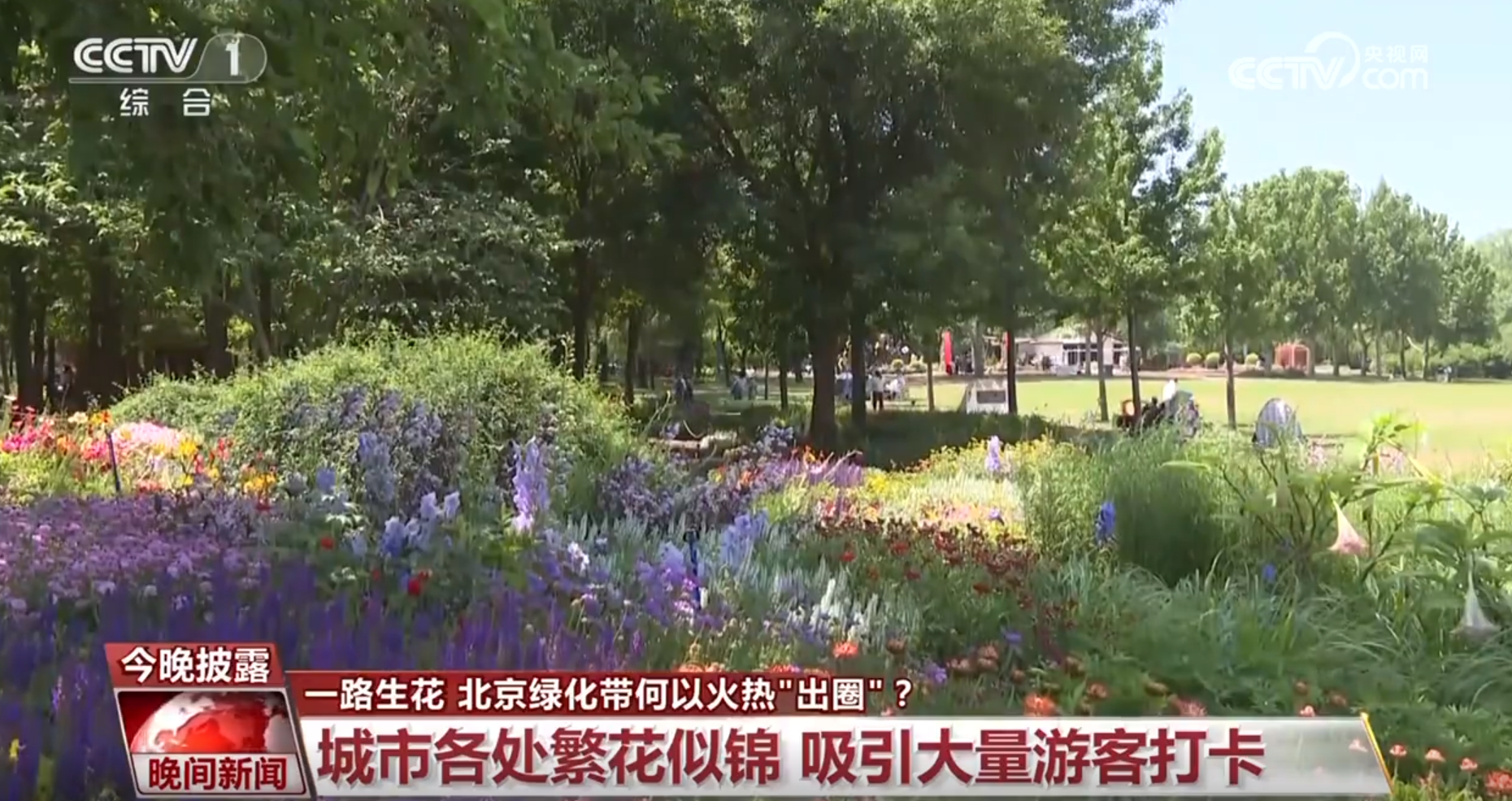 京绿化带何以火热“出圈”？九游会J9入口一路生花 北(图4)